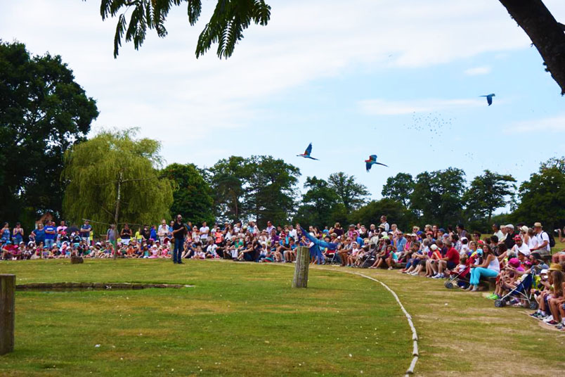 Parc de Branféré - Crédit photo : @paparaz49